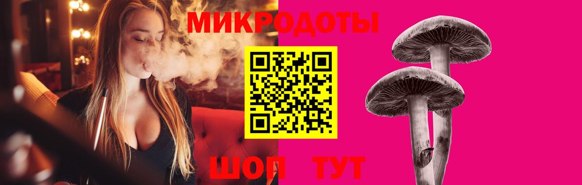 Сызрань  Галлюциногенные грибы Cubensis  Вход с VPN 